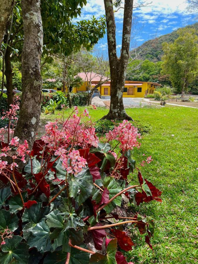 El Valle Resort & Spa - Aguas Termales El Valle de Anton Luaran gambar